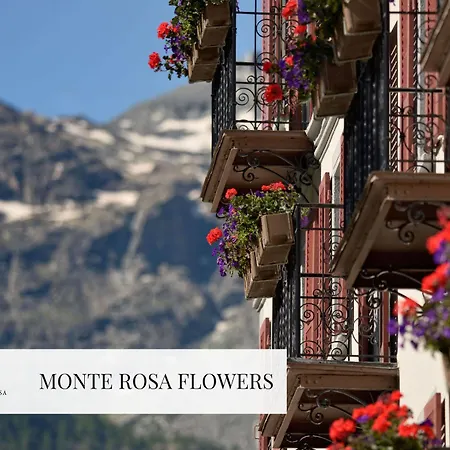 Otel Monte Rosa Boutique