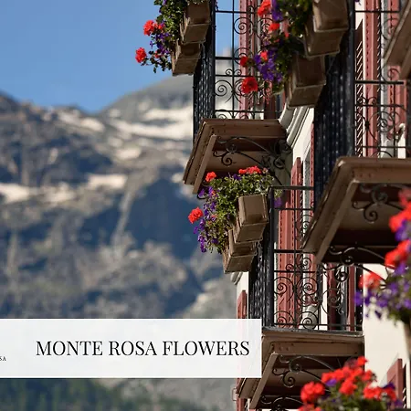 Hotel Monte Rosa Boutique